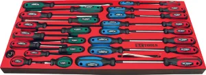 564 X 270 X 22mm Form Insert & 31 Piece Screwdrivers Set Blade,Phillips & Star KC Tools