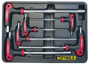 6 Piece T Handle Hex Key Set In Blow Moulded Case Metric KC Tools