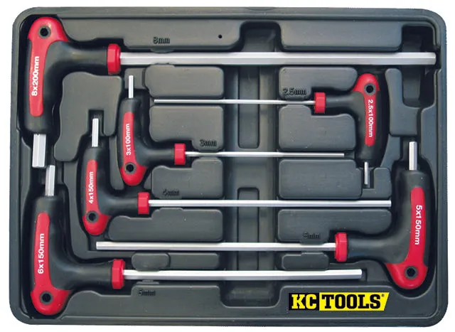 6 Piece T Handle Hex Key Set In Blow Moulded Case Metric KC Tools